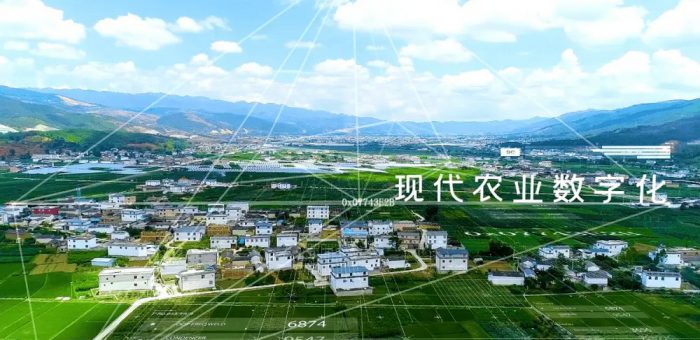 乡村数字化转型：全球视角与本土实践